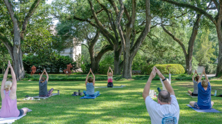 Yoga with a Vue