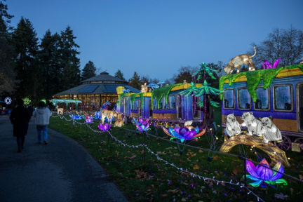 c427f2d8-586f-4b3b-bff4-c95f38d9ee69-20241115_wildlanterns_woodlandparkzoo_sunnymartini_M1_0009