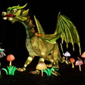 DSC07392-1536x864-1.jpg-1-1