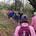 hiking-at-paynes-prairie