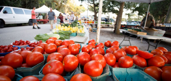 Market-tomatoes-4229b74b58