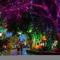 Zoolights