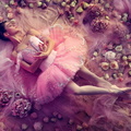 Sleeping-Beauty_2436-x-1365-1024x574