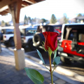 4th Annual Wine, Women & Jeeps