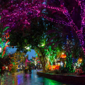 Zoolights