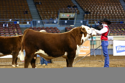 Cattlemen's Congress