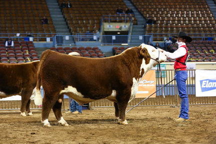 Cattlemen's Congress