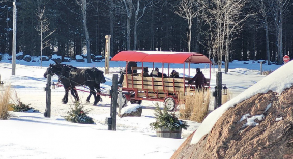 Sleigh Rides