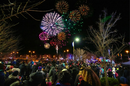 Festival of Trees