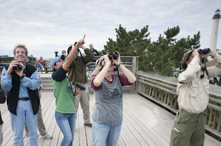 Coastal Birding