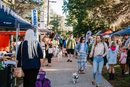 Village Markets