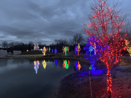 Holiday Lights