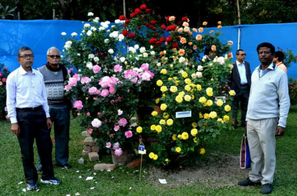 36th Annual Rose Show