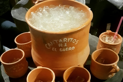 Tequila y Cantaritos el Güero - Tour de día completo enhanced
