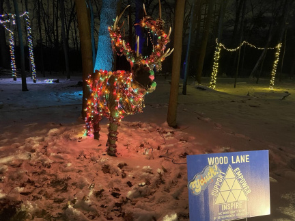 Wild Lights Weekend