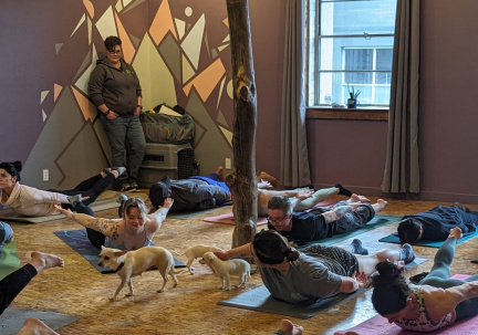 Puppies &amp; Poses
