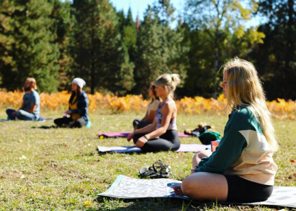 Traditional Teaching of Yoga for modern times