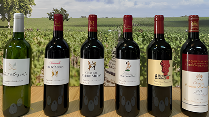 Bordeaux’s dazzling 2022s