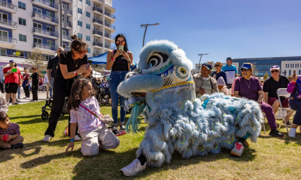 Lunar New Year Festival
