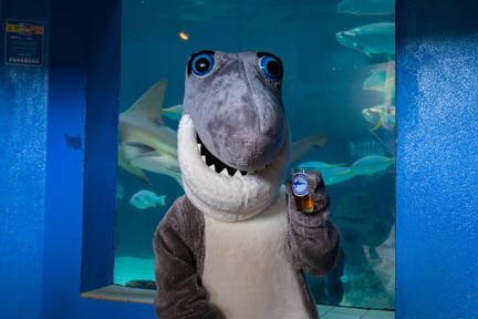 Sharktoberfest