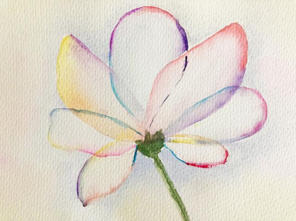 Translucent Flowers