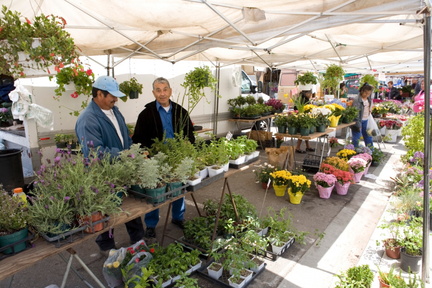 Farmer's Market