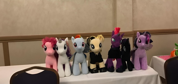 Vanhoover Pony Expo
