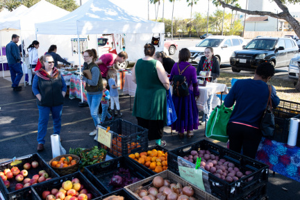 9ccbc297-5c0b-4092-b11c-7b59e18f6da8-2472525002-farmers_market-9