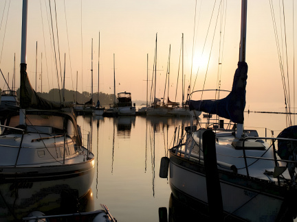 International Boat Show
