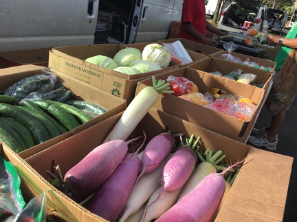 PeoplesOpenMarkets_Produce_TITE