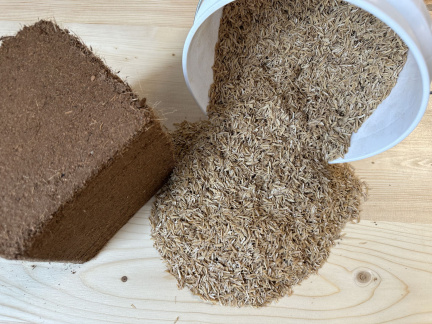 Seed Starting