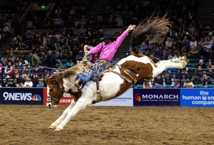 Pink Pro Rodeo