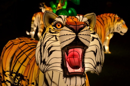 Tiger-2