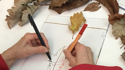 Observational Drawing