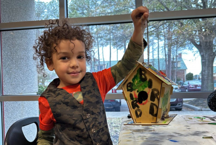 Paint a Bird House