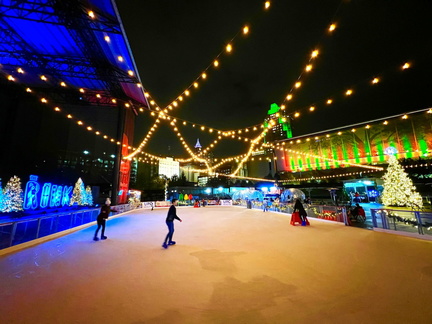 The Rink