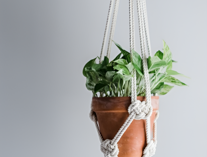 Macrame Plant Hanger enhanced