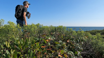 Guided Sea Bird Walk