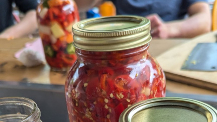 fermented-jars-of-food
