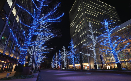 Sapporo White Illumination