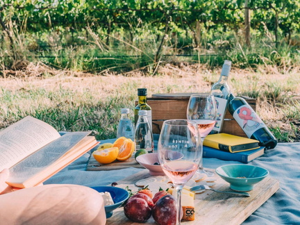 SummerVines Festival