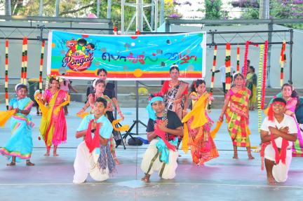 Pongal Festival