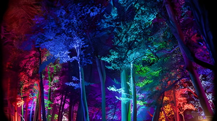 light-trees