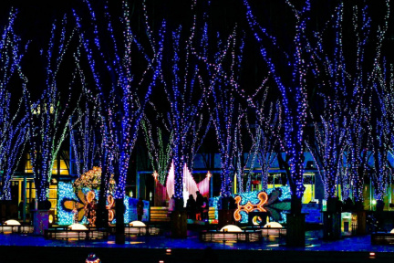 Kiyaki Hiroba Illumination 2024-25 "Blessing Forest ～ Symphony of Blessing Sound and Light"