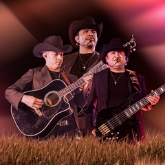 Hijos De Barron