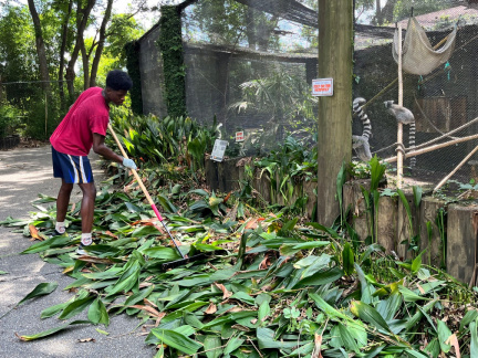Zoo Volunteer Serve Day