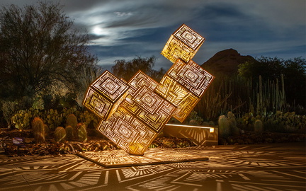 Light Bloom - Desert Botanical Garden