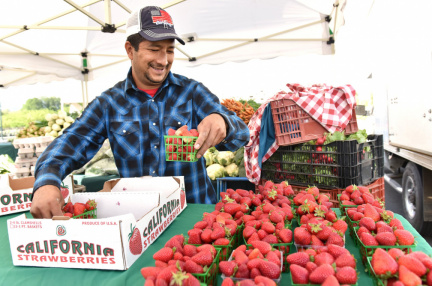 Niles Farmers Market