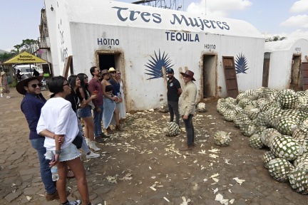 Visita guiada de día completo en Amatitán y degustación de Tequila