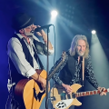 Insider A Tribute to Tom Petty